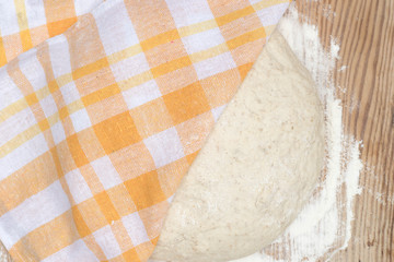 raw bread or pizza dough closeup
