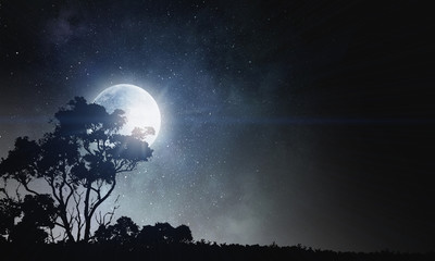 Fototapeta na wymiar Full moon in sky . Mixed media