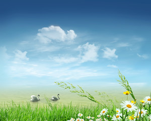 Obraz premium Landscape with grassland and lake