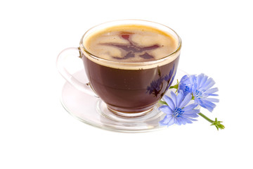 Chicory cup and chicory flower isolated on white background