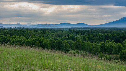 Tall grass meadow with the forest, mountains and cloudy sky in the background