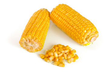 ear of corn isolated on a white background