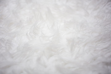 Smooth, soft and flurry white carpeting material texture.