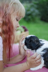 4-5 years blond girl. Little girl paying with puppies. Cute girl sitting on the cover. Friendship with the pet. 