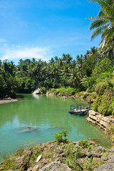 Fototapeta premium Widok na rzekę w wodospadzie Sri Gethuk, Yogyakarta, Indonezja