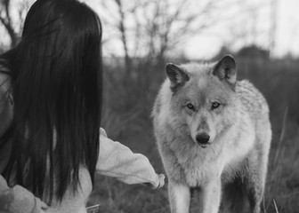 Working With Wolves