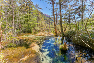 Water Stream at Kamikochi