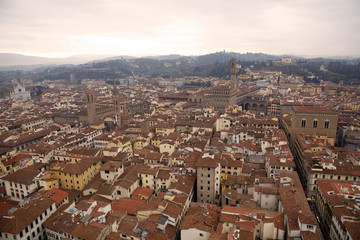 Fototapeta na wymiar Florence town view