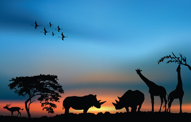 Fototapeta na wymiar African sunrise with rhinos, giraffes and antelope