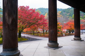 京都　南禅寺の紅葉