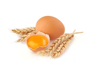  Eggs and spikelets of wheat on the white © angorius