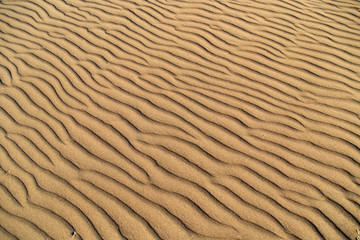 Sand in the desert as a background