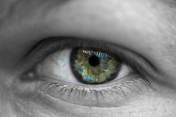 Auge in schwarz-weiß mit bunter Iris