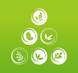 leaves, plant, icons , nature, Eco friendly business logo