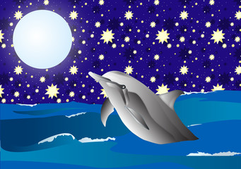 Dolfin in the night