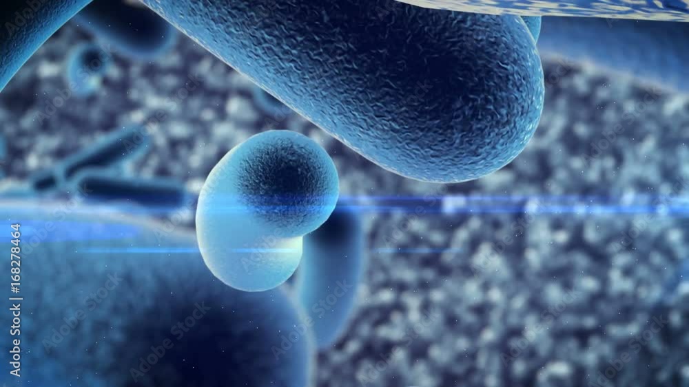 Poster 3d rendering of a germ bacteria under microscope