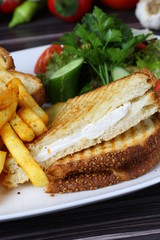Grilled Panini