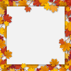 White paper sheet and fallen colorful maple leaves. Vector autumn background.