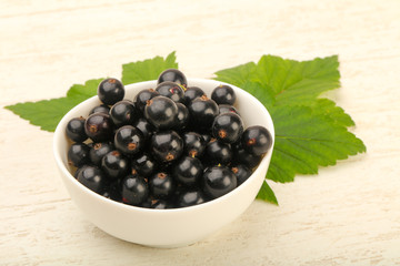 Ripe black currants