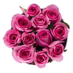 Bouquet of pink Roses  isolated