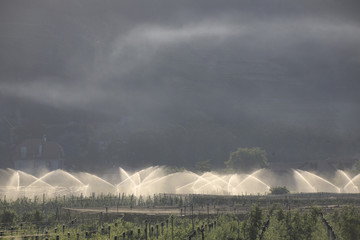 Bewässerung Apfelplantagen, Gegenlicht, Meran, Südtirol, Italien