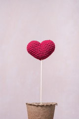 Heart on wooden stick in peat glass