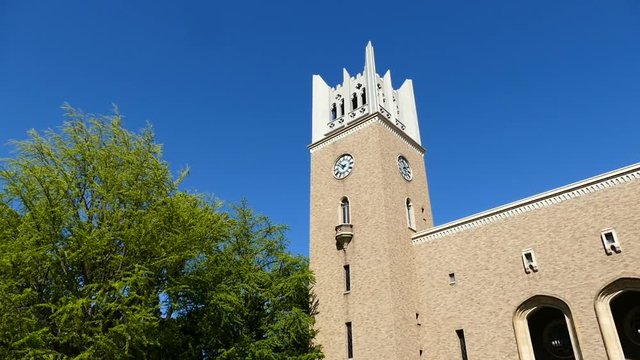 早稲田大学　大隈講堂（重要文化財）春　パン