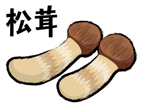 3 Best 松茸のイラスト Images Stock Photos Vectors Adobe Stock 3 Best 松茸のイラスト Images Stock Photos Vectors Adobe Stock