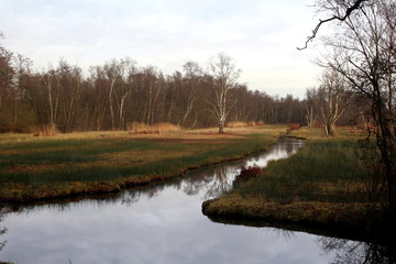 Fototapeta na wymiar Amsterdamse polder 