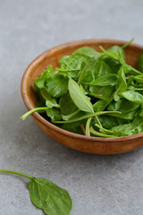 Green salad in ceramic bowl