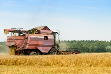 Obraz premium Agriculture machine harvesting golden ripe wheat in field for grain export. Agriculture and farming concept