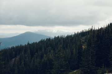 landscape in mountains Carpathians Ukraine