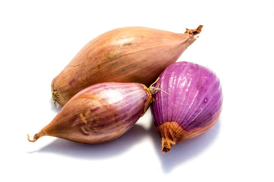Schalotte, Schalotten isoliert freigestellt auf wei&szlig;en Hintergrund, Freisteller