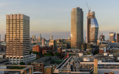 Fototapeta premium Londyn Skyline