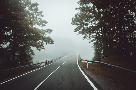 Road in misty forest