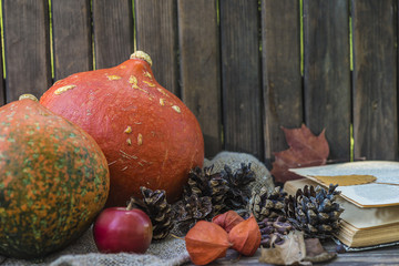 autumne compositon with pumpkins, kernels, dry leaves and opened book