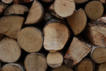 Fototapeta premium Pile of wood logs. Wood logs texture background