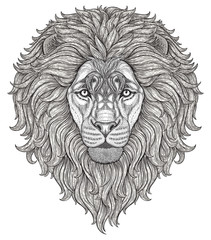 Lion head hand drawn in lines isolated on white background. Decorative doodle vector illustration. Perfect for postcard, poster, print, greeting card, t-shirt, phone case design