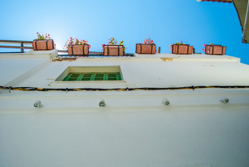 Sea view with traditional flowers near the greek house.