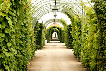 Lovely road in city garden.