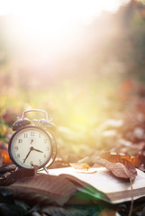 Hour and a book in the park on leaves, vintage photo, retro style