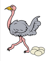 Fototapeta premium Cartoon Ostrich Eggs