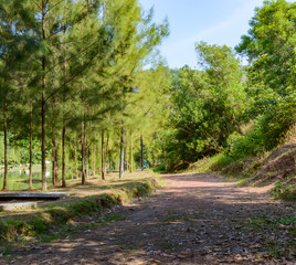 Tropical landscape, lake and hills in Kathu district on Phuket