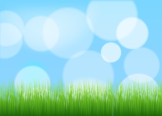 Fototapeta na wymiar Grassline Blur Bubbles Background