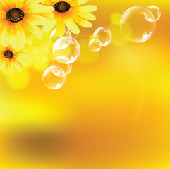 Spring and summer flower