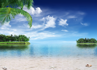 Tropical paradise