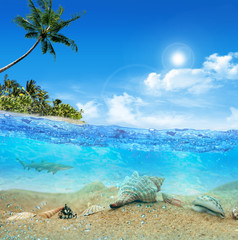 Obraz na płótnie Canvas Underwater near the beach of the tropical island