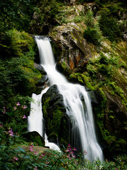 Naklejka premium Fließender Wasserfall