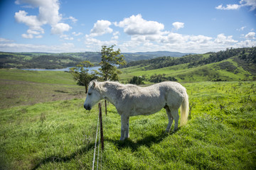 Obraz premium View from Lithgow contryside town in NSW Australia