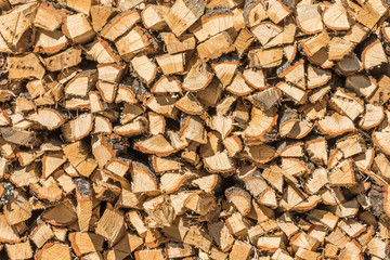 木材チップ　Wood chips